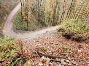 Plazišče v Pologu (Foto Boštjan Uršič)-1800